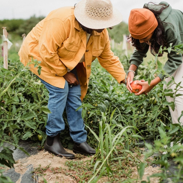 agriculture